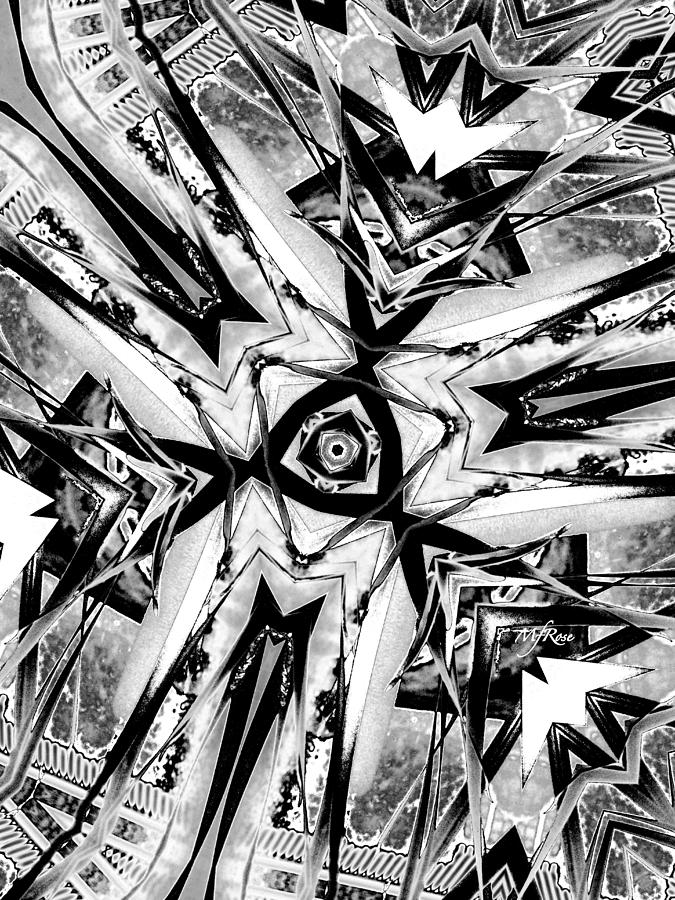 Cattail Black And White Kaleidoscope Photograph by Maureen Rose - Fine ...