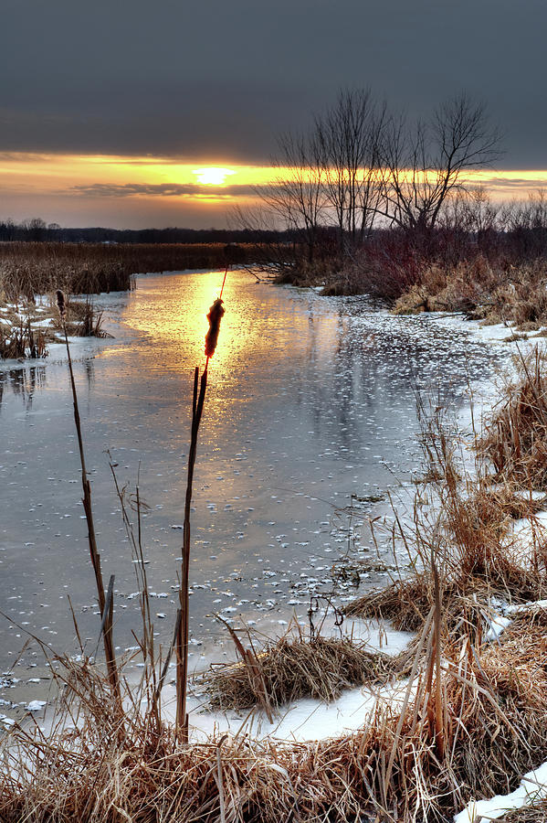 Cattail Eclipse - cattail and frozen river at sunset near Stoughton WI Photograph by Peter Herman