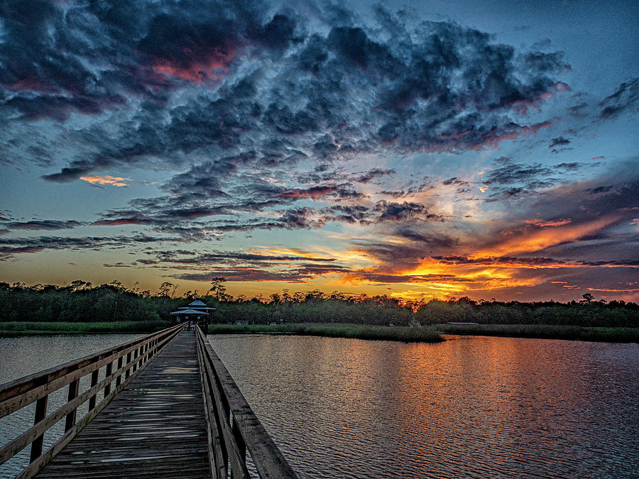 Cattail Marsh Sunset Photograph