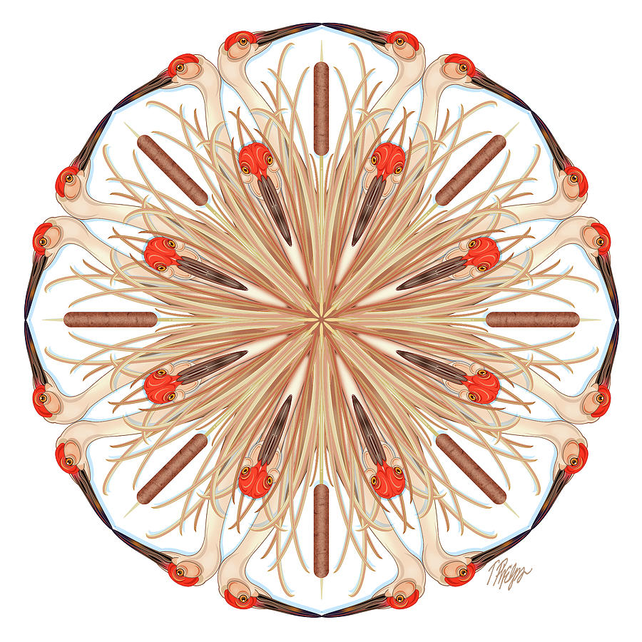 Cattail Sandhill Crane Nature Mandala Digital Art by Tim Phelps