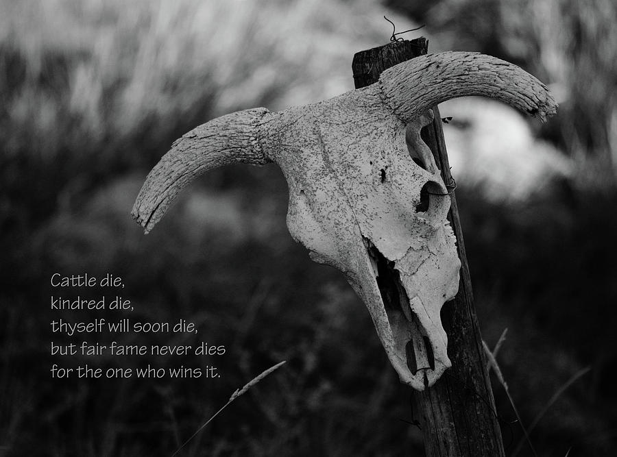 Cattle Die Kindred Die Photograph by Whispering Peaks Photography