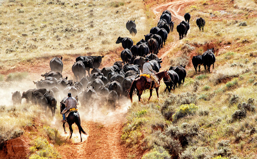 Cattle Drive 2 Cowboys Photograph by Sam Sherman