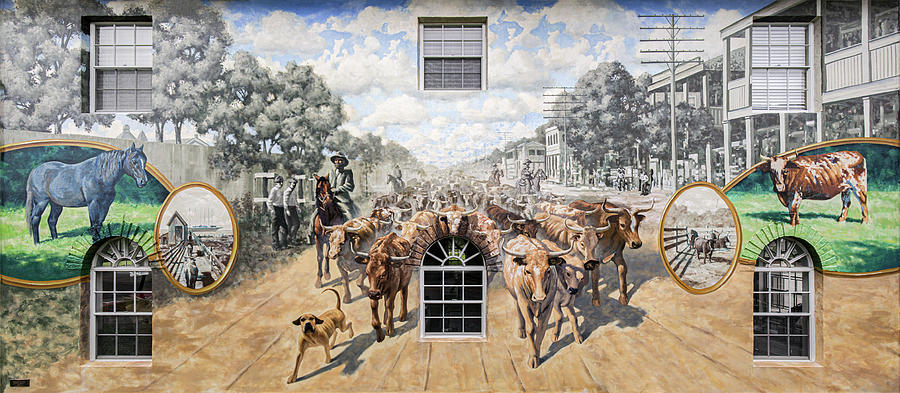 Cattle Drive Down Marion Avenue Photograph by Punta Gorda Historic Mural Society