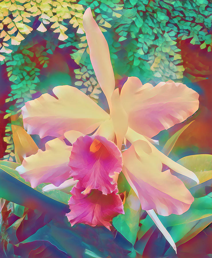 Cattleya Orchid Bloom Mixed Media by Deborah League
