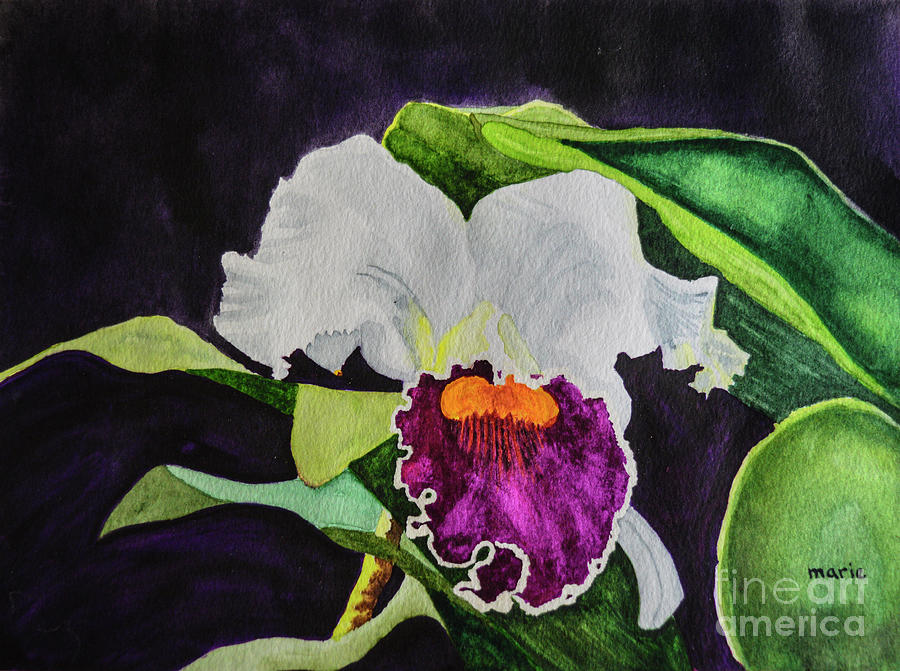 Cattleya, Queen of Orchids Painting by Marie Dudek Brown
