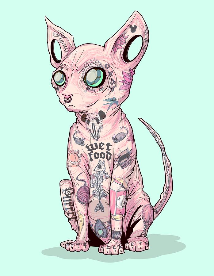 Cattoo Drawing