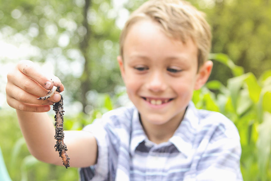 Caucasian boy examining worm Photograph by Emily Suzanne McDonald