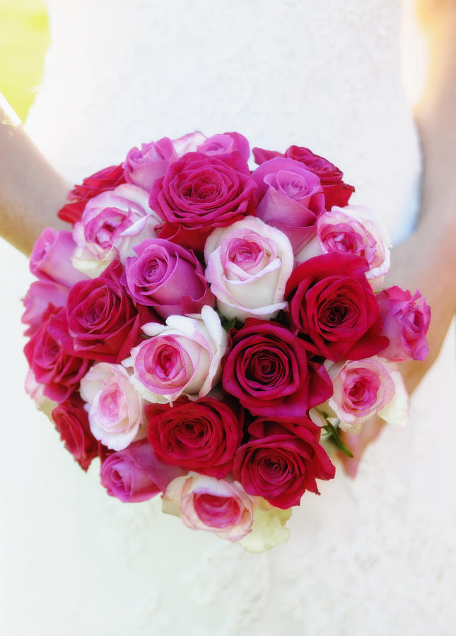 Caucasian bride holding bouquet of roses Photograph by Jacobs Stock Photography Ltd