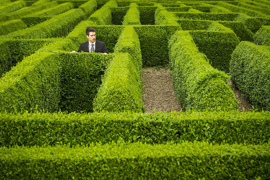 Caucasian businessman trapped in hedge maze Photograph by Jacobs Stock Photography Ltd