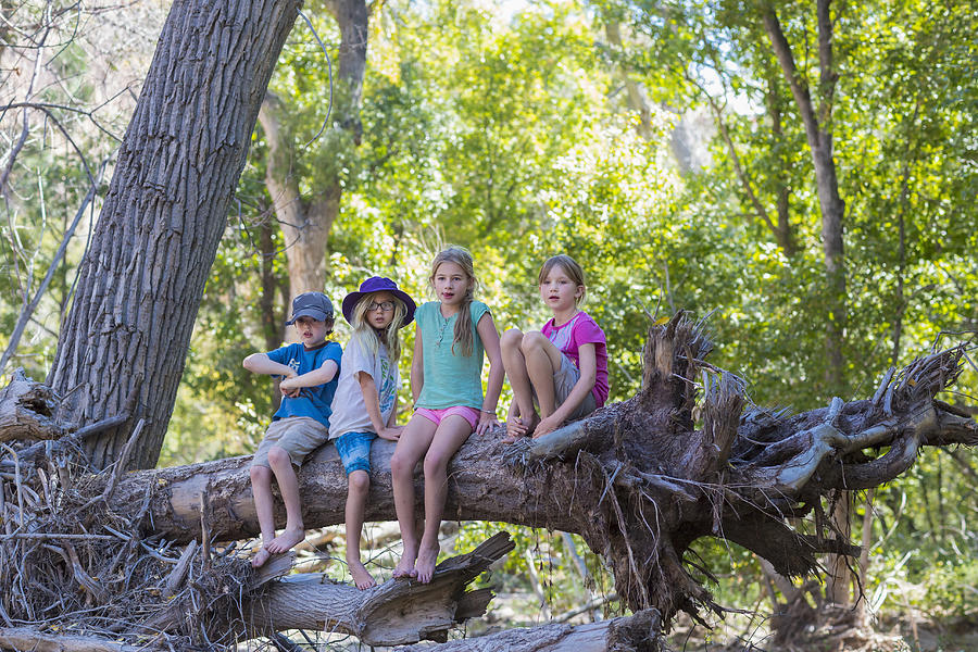 Caucasian children sitting on tree root in forest Photograph by Marc Romanelli
