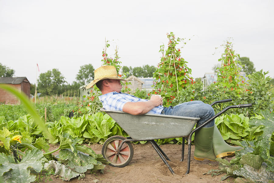Caucasian farmer napping in wheelbarrow in farm field Photograph by Jacobs Stock Photography Ltd