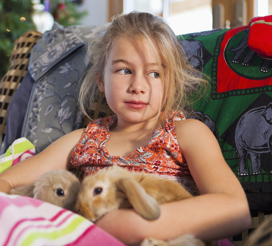 Caucasian girl holding pet rabbits on sofa Photograph by Marc Romanelli