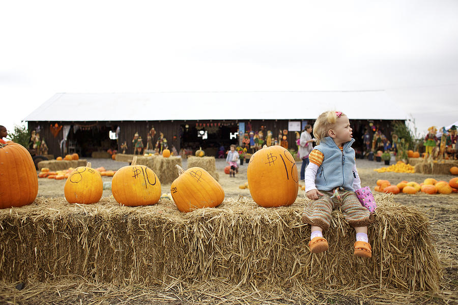 Caucasian girl sitting with pumpkins in pumpkin patch Photograph by Priscilla Gragg
