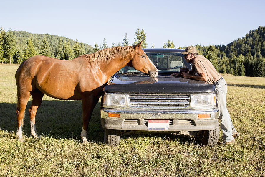 Caucasian man and horse on truck in rural landscape Photograph by Ronnie Kaufman