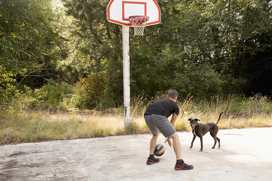 Caucasian man playing basketball with dog Photograph by Ronnie Kaufman