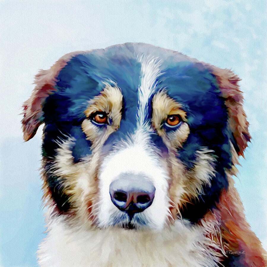 Caucasian Sheep Dog in Blue Digital Art by Bamalam Art Caucasian Sheep Dog in Blue Digital Art by Bamalam Art