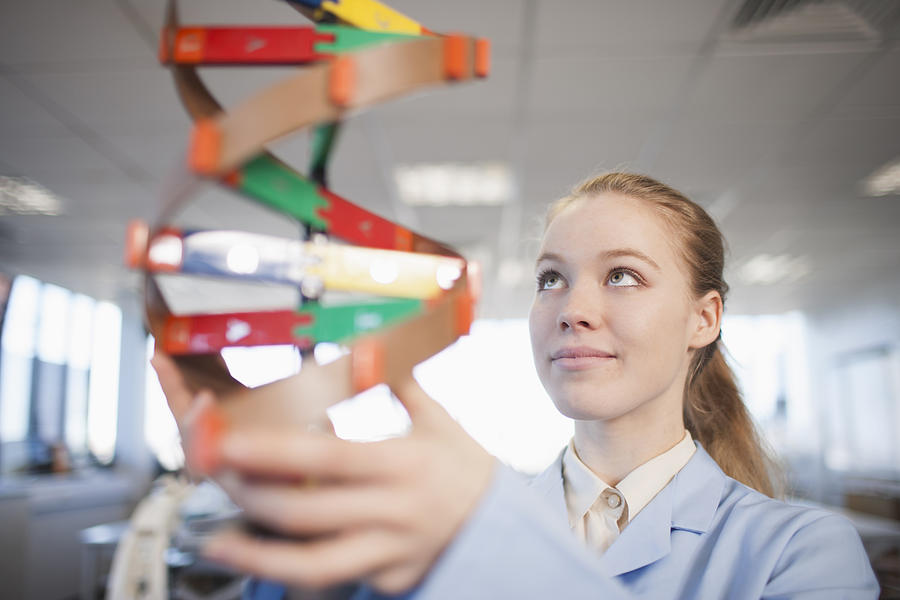 Caucasian student examining molecular model Photograph by ER Productions Limited