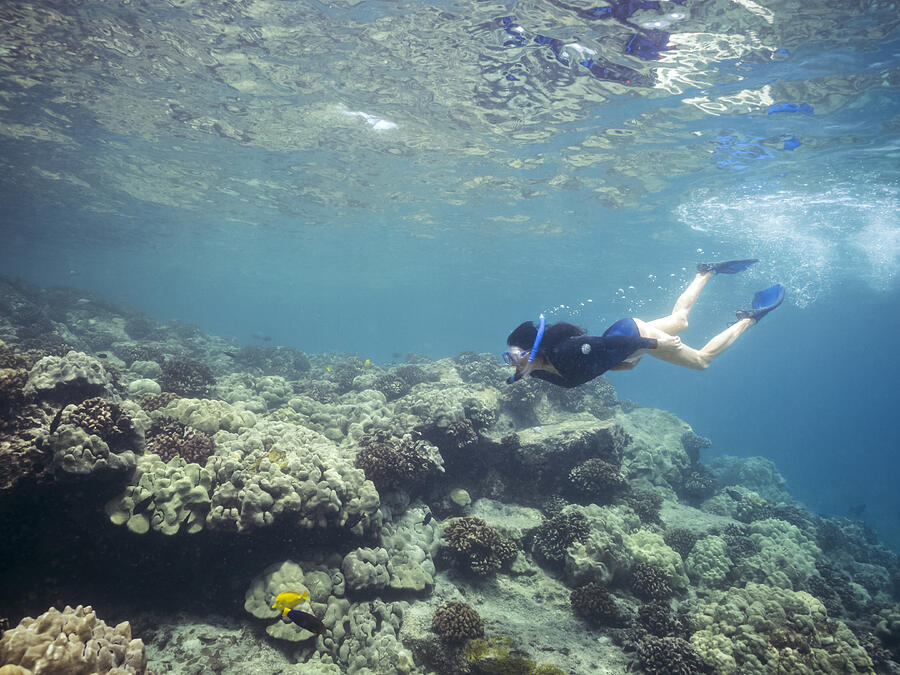 Caucasian woman snorkeling near coral reef in tropical ocean Photograph by John Duarte