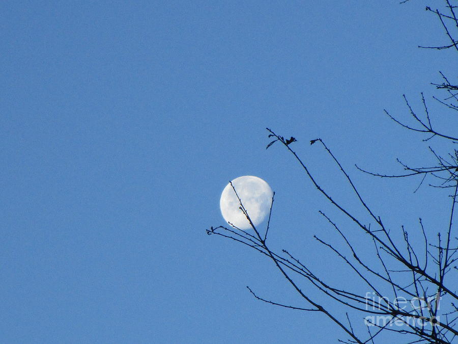 Caught The Moon For You Photograph by Seaux-N-Seau Soileau