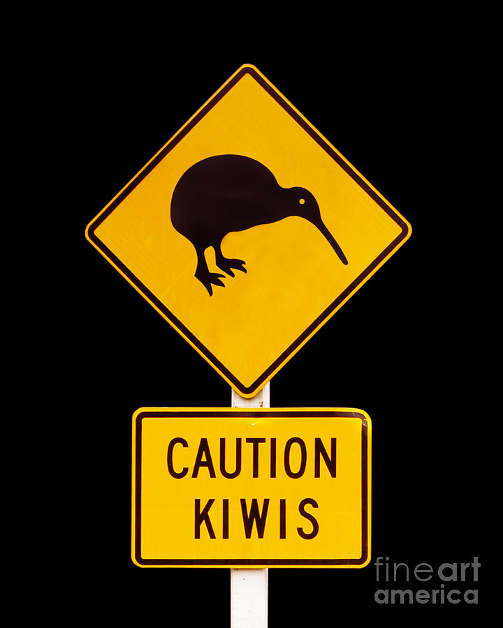Wildlife Photograph - Caution kiwis road sign by Delphimages Photo Creations