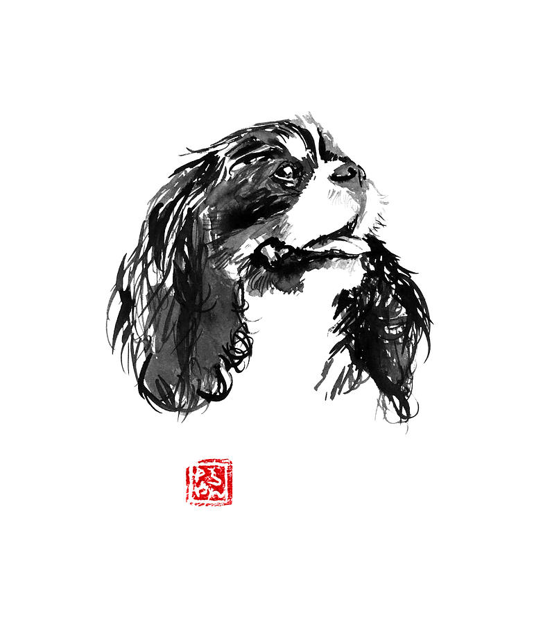 Dog Drawing - Cavalier King Charles by Pechane Sumie