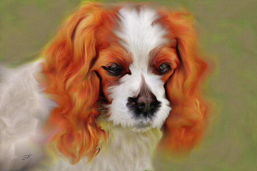 Cavalier King Charles Spaniel, Red Dog Portrait Digital Art by Shelli Fitzpatrick