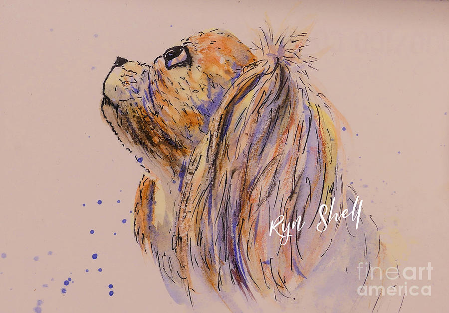Cavalier King Charles spaniel Painting by Ryn Shell