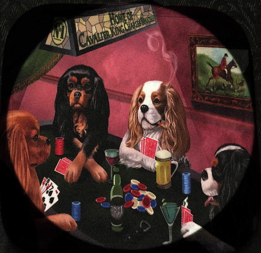 Cavalier King Charles Spaniels Playing Poker Photograph by Lorraine Palumbo