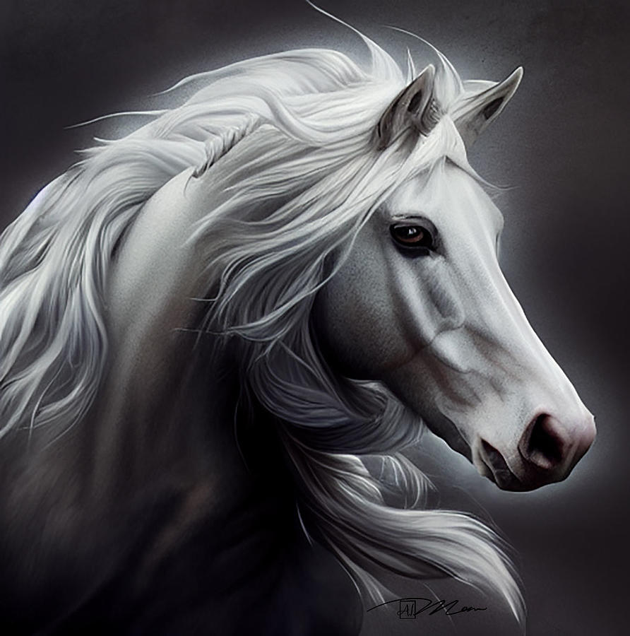 Cavallo Bianco Digital Art by Simonetta Zambelli - Fine Art America