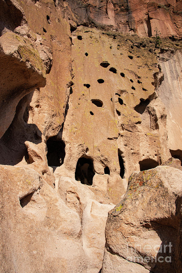 Cave Dwelling at Bandelier National Monument One Photograph by Bob Phillips
