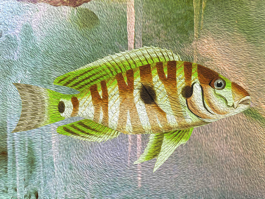 Portrait of a Cave Dwelling Fish Mixed Media by Lorena Cassady