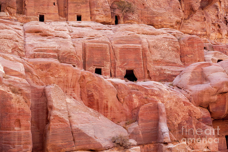 Cave dwellings in the Rose City of Petra, Jordan. This lost city is a UNESCO world heritage site Photograph by Jane Rix
