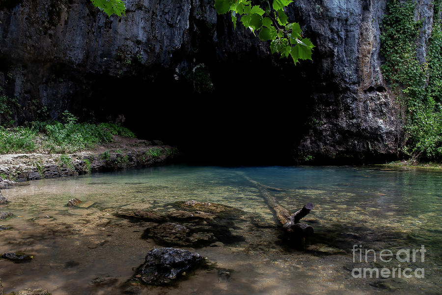 Cave Spring Photograph by Reva Dow