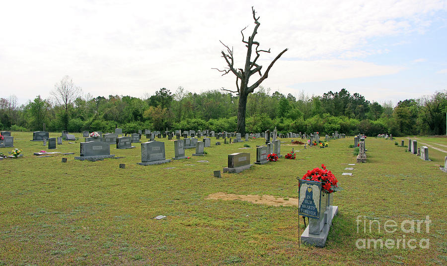 Cavenaugh Family Cemetery Wallace NC 2133 Photograph by Jack Schultz