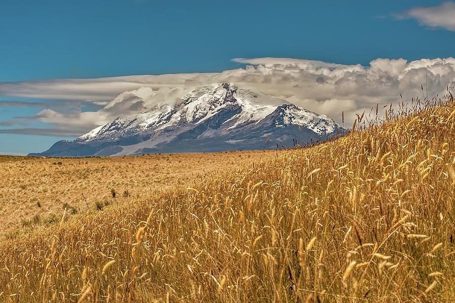 Cayambe and Andes Paramo Photograph by Henri Leduc