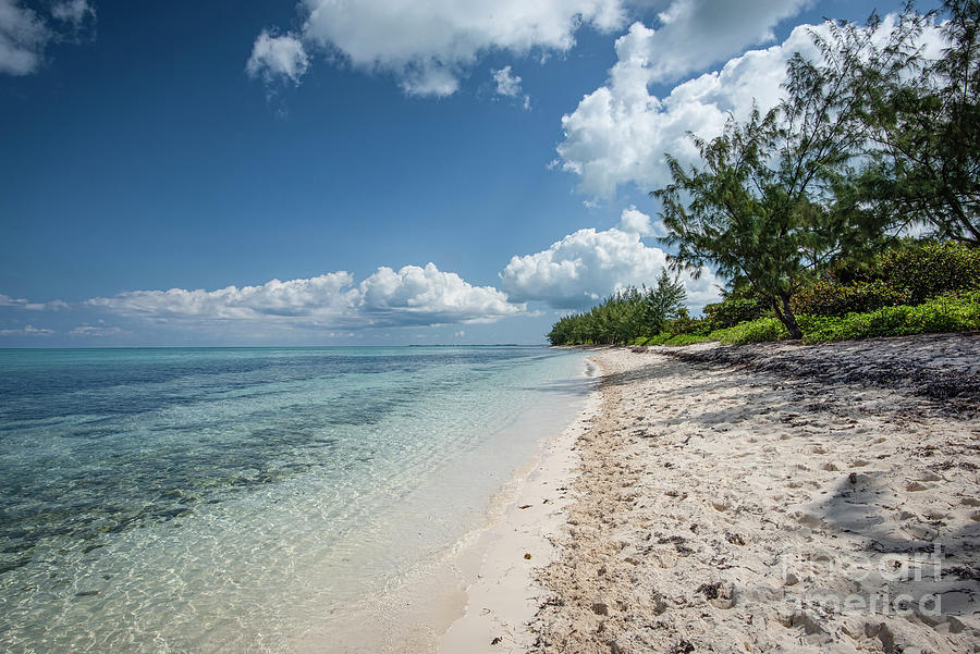 Cayman Islands-west Bay Beach Photograph by Judy Wolinsky