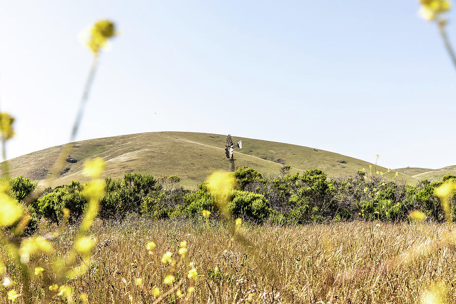Cayucos hills Photograph by David Kleeman