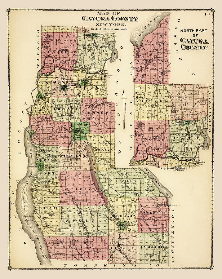 Cayuga County NY 1875 historic map reproduction Photograph by Phil Cardamone
