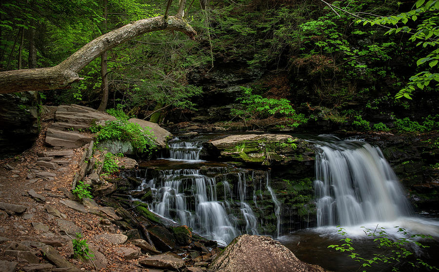 Cayuga Falls Ricketts Glen State Park Photograph by Dan Sproul
