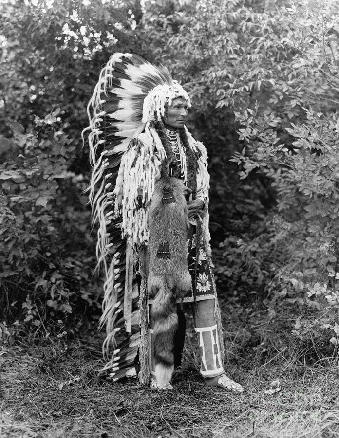 Cayuse Chief, c1913 Photograph by Kossuth Joseph Dixon