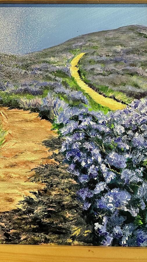 Ceanothus Mountain Painting by Deborah Buffington - Fine Art America