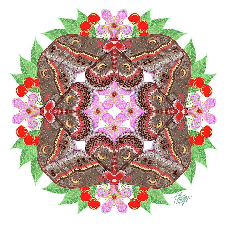Cecropia Moth Cherry Mandala Digital Art by Tim Phelps