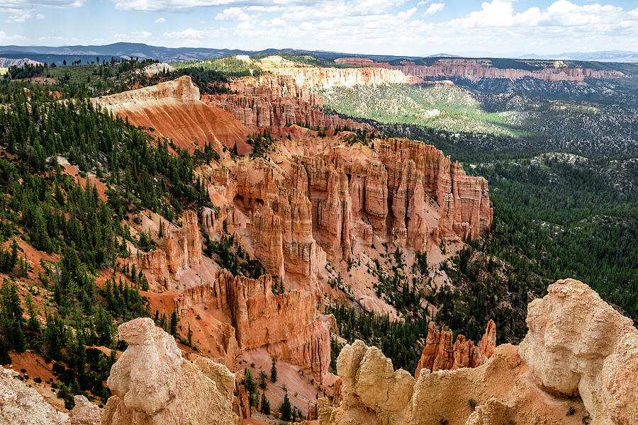 Cedar Breaks National Monument 2 Photograph by Michael Hills - Pixels