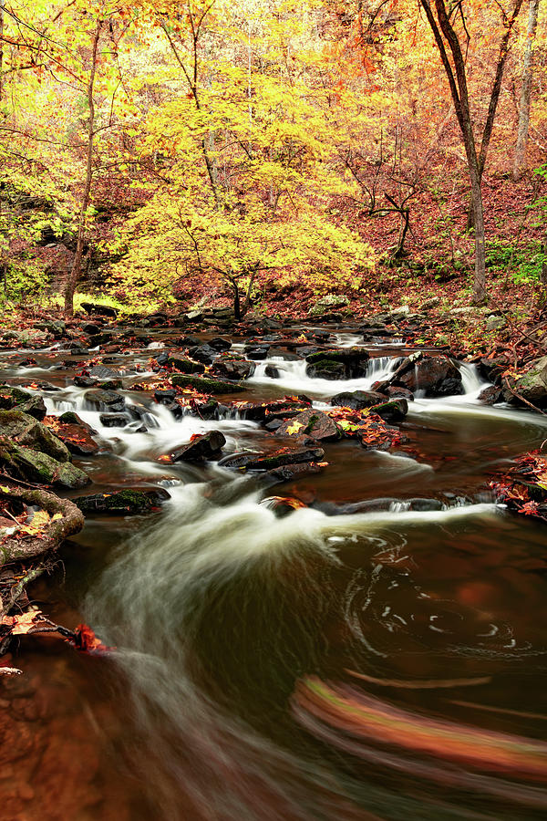 Cedar Creek Flow In Autumn - Petit Jean State Park Arkansas Photograph