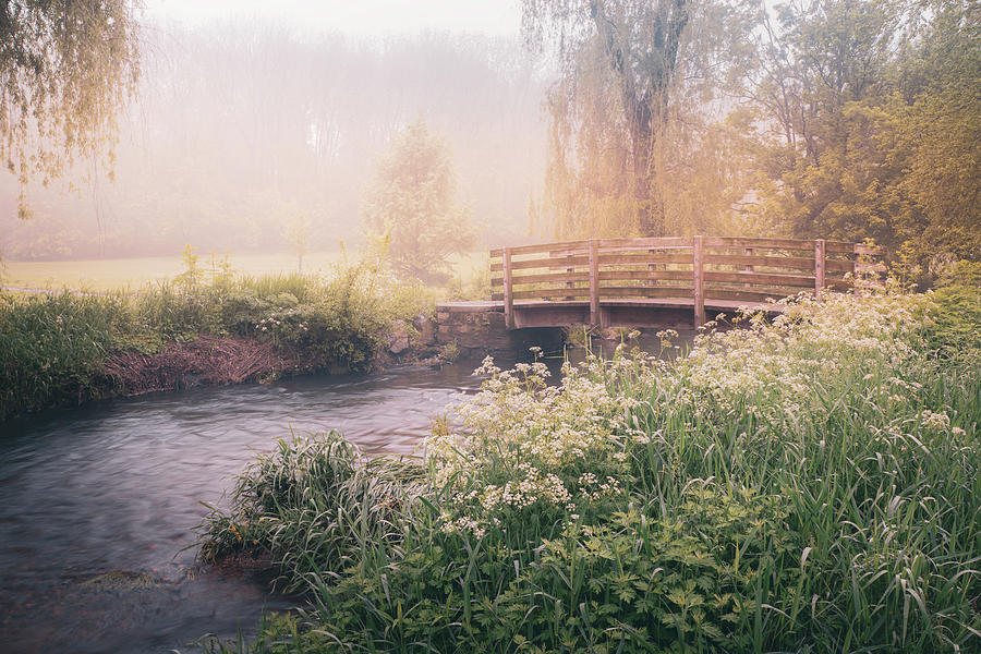 Cedar Creek Park - Misty Morning Photograph by Jason Fink