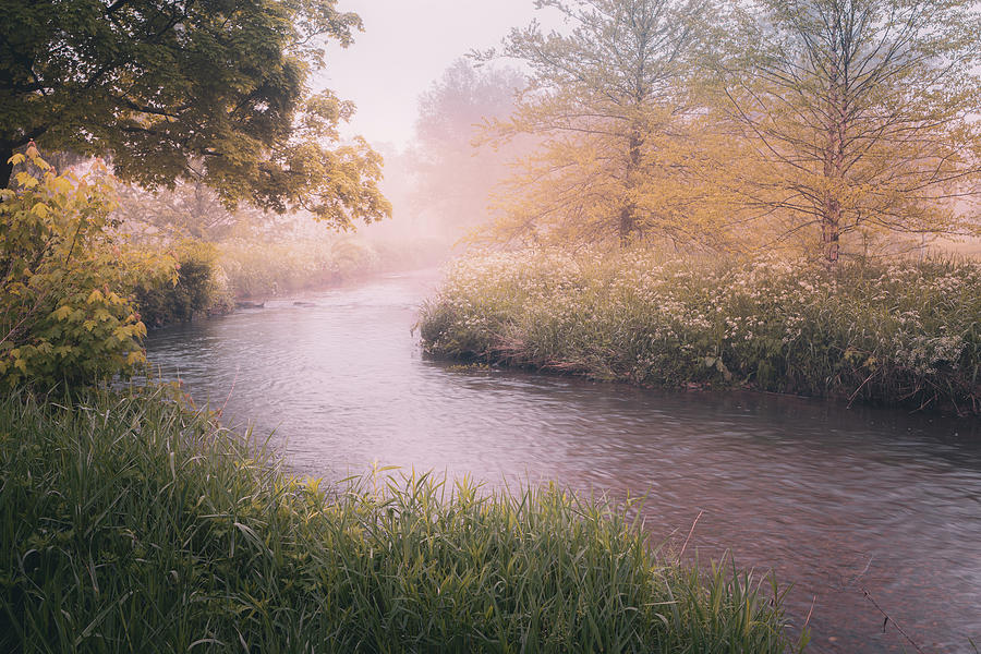 Cedar Creek Park - Misty River Photograph by Jason Fink