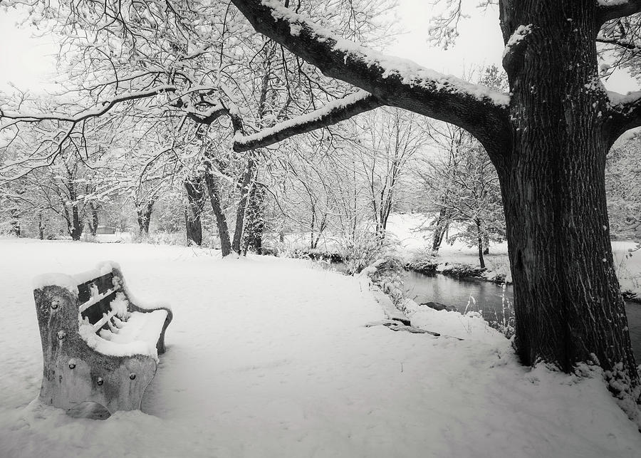 Cedar Creek Park Snowy Bench Scene Photograph by Jason Fink