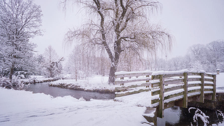 Cedar Creek Park - Winter Landscape Photograph by Jason Fink