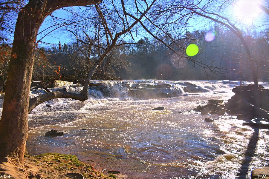 Cedar Falls Park South Carolina Photograph by Lisa Wooten - Fine Art ...