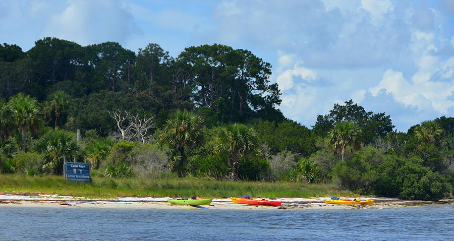 Cedar Key Kayaks Photograph by Carla Parris